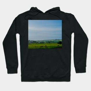 Farm with grazing cattle Hoodie